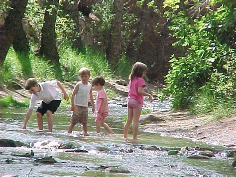 Playing in creek brings memories of making boats from scraps of things ...