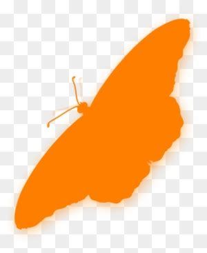 Butterfly Silhouette Orange - Free Transparent PNG Clipart Images Download