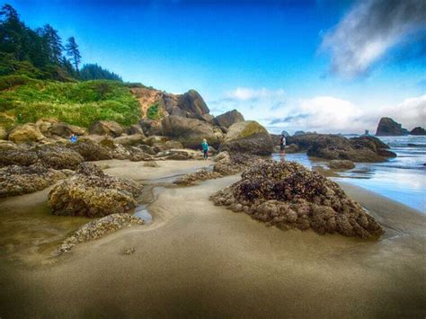 Ecola State Park - Oregon State Parks | Oregon Lottery