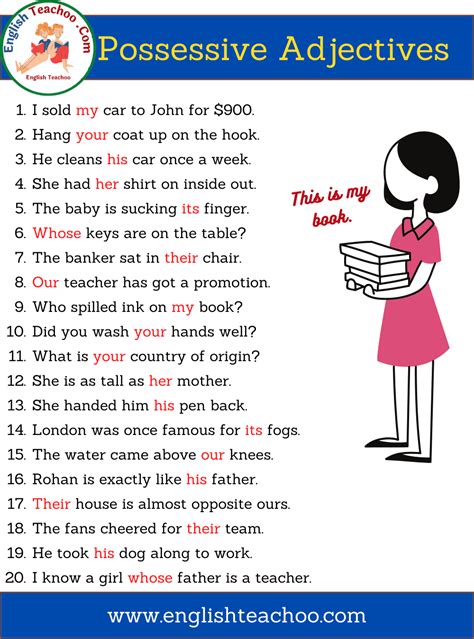 20 Examples of Possessive Adjectives In Sentences - EnglishTeachoo