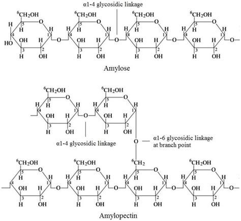 Physical and Chemical Modifications in Starch Structure and Reactivity ...