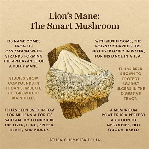 9 Health Benefits of Lion's Mane Mushroom (Plus Side Effects)