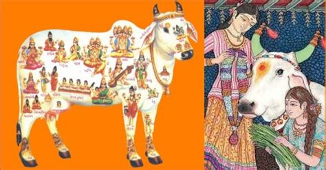 What Vedas and other Ancient Hindu Scriptures Tell Us about Cow