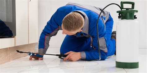 Home Pest Inspection, Winston-Salem, NC - Brown Pest Control