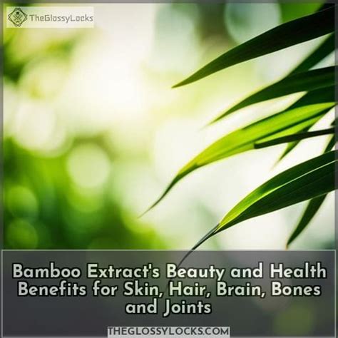 Bamboo Extract's Beauty and Health Benefits For Skin, Hair, Brain ...