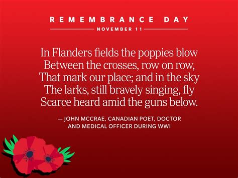 Powerful Remembrance Day Quotes | Reader's Digest Canada