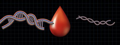 New portable blood test kit is cheap, fast, and accurate