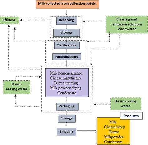 Cow Milk Production Process