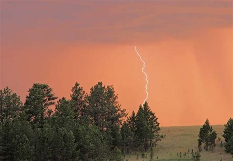 Record heat in the west may be followed by dry lightning - Wildfire Today