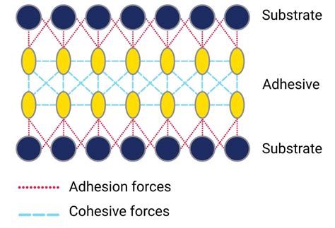 How do you make rubber adhesive? | Walker Rubber