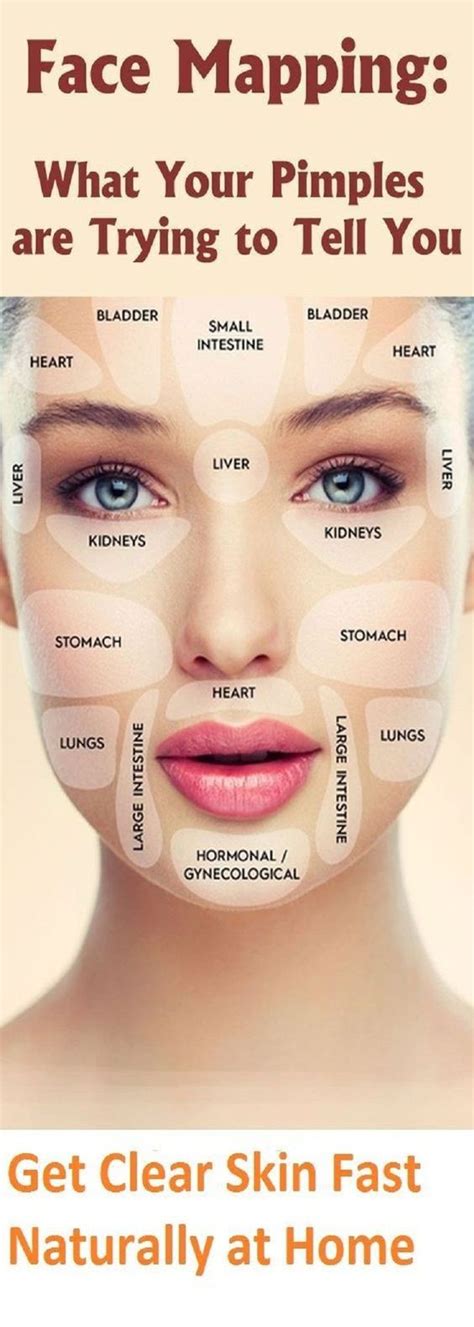 Face Mapping: What Your Pimples Are Trying To Tell You - healhty and tips