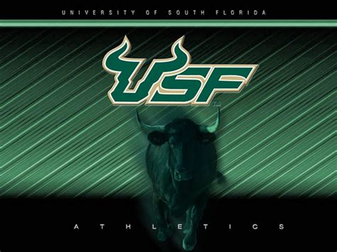 USF Bulls Wallpaper | Free Wallpaper,usf,xp,bmw,vista,toolbar