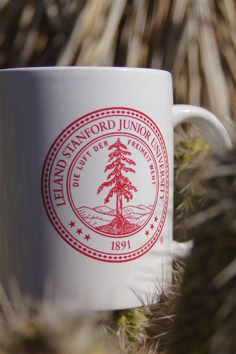 Stanford University Drinkware – Stanford Student Store