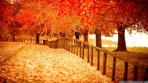 . Fall Desktop Backgrounds, Desktop Wallpaper Fall, Winter Wallpaper ...