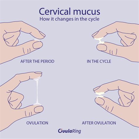 Natural Family Planning: Contraception Without Hormones