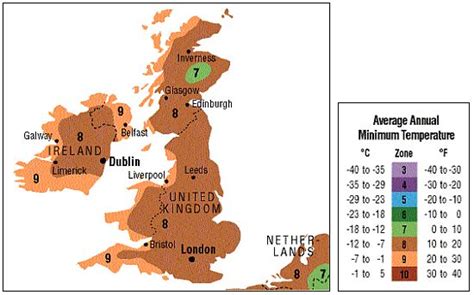 OMC Seeds | Sodinu.lt | Gardening zones, Plant hardiness zone map ...