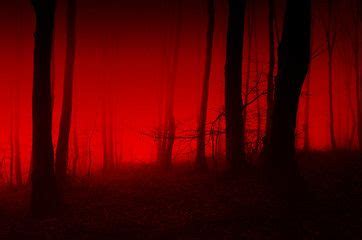 Creepy Red Forest Wallpaper