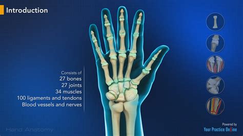 Hand Anatomy Video | Medical Video Library