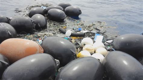 Giant Pacific Garbage Patch free download programs - australiafilecloud