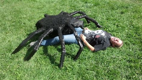 How to make a big halloween spider | gail's blog