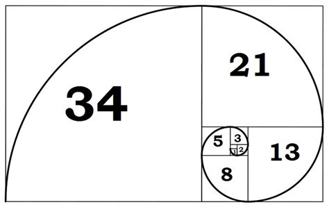 The Fibonacci Sequence ~ A Dead Good Blog