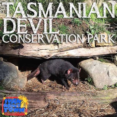 Tasmanian Devil Conservation Park in Tarrana, Tasmania | Ivan About Town