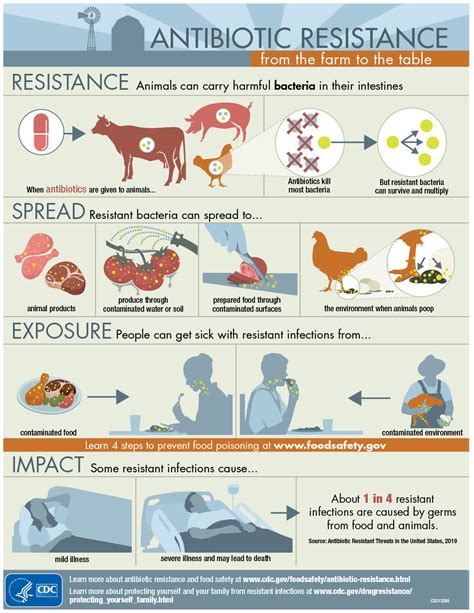 Desi cows – can they help in reducing Antibiotic use? | The Aashritha ...