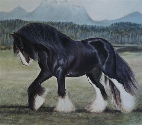 Shire Horse by PASTELIZATOR on DeviantArt