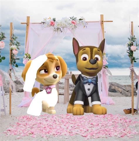 Wedding of Skye and chase by fleetsonoftundra on DeviantArt