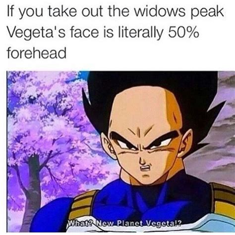 MovieNewsroom | Dragon Ball: 10 Hilarious Vegeta Memes That Are Too Funny