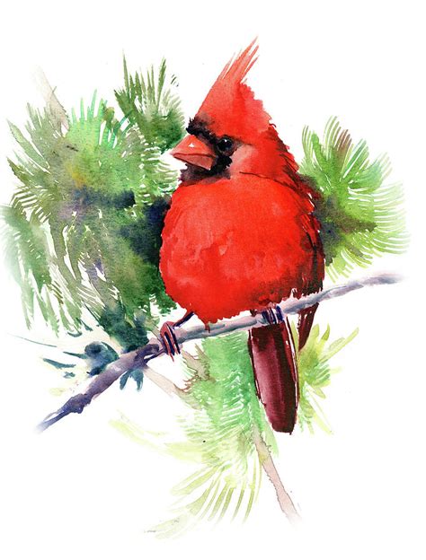 Red Cardinal Bird Painting by Suren Nersisyan - Fine Art America