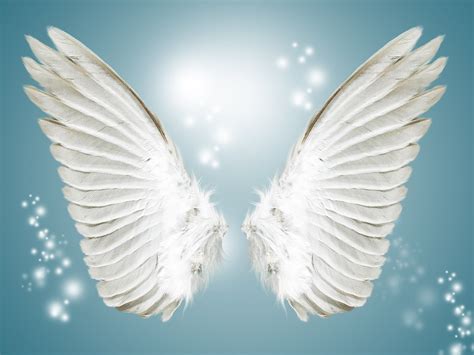 two white angel wings against a blue background