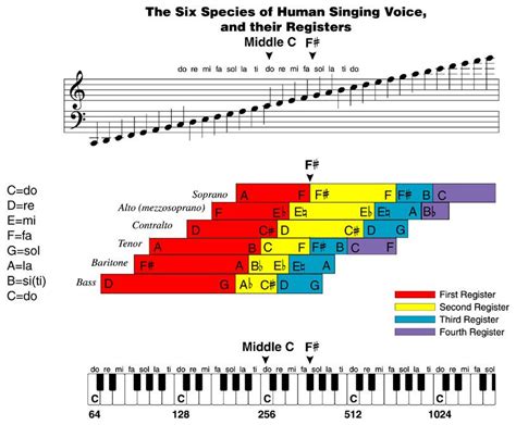 Chart of Vocal Registers at C 256 Hz, A 432 Hz | Music charts, Music ...