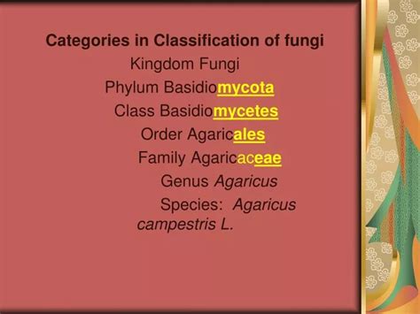 PPT - Categories in Classification of fungi Kingdom Fungi Phylum ...