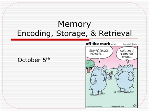 Memory Encoding, Storage, & Retrieval