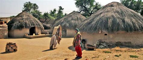 Cholistan Desert | Cholistan Desert Culture | Cholistan Desert Location