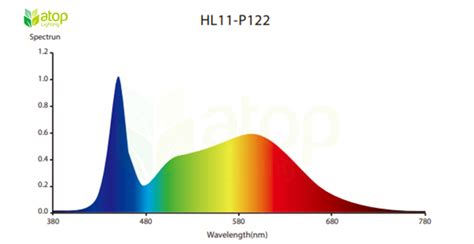 Stages of Cannabis Cultivation with Grow light - Atop Lighting