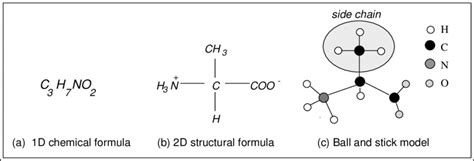 Representations of the amino acid alanine. | Download Scientific Diagram