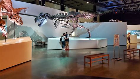 Houston Museum Of Natural Science General Admission | 365 Things to do ...