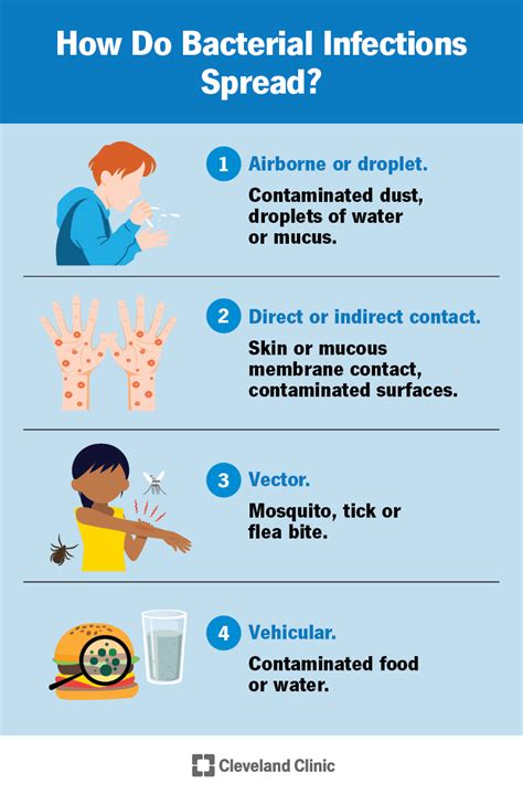 Bacterial Infection: Causes, Symptoms, Treatment & Prevention