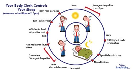 How to Overcome the Negative Effects of Shift Work | Miranda Yen