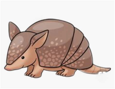 Easy Cartoon Armadillo - Choose from over a million free vectors ...