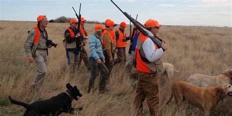 Quail Hunt: King Ranch, Texas - Texas Quail Hunting