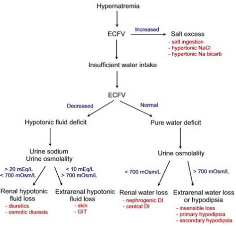 Symptom finder - The causes of hyponatremia and hypernatremia - Medical ...