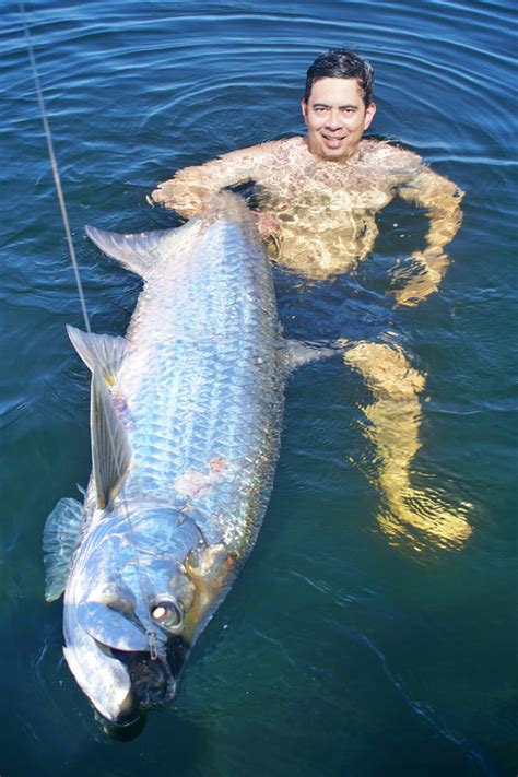 How to Catch Tarpon - Tips for Fishing for Tarpon