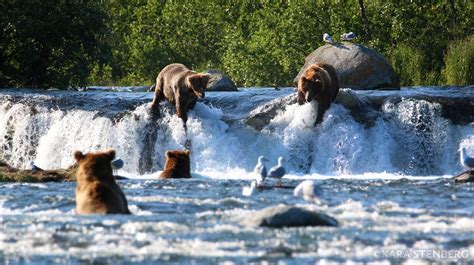 Katmai National Park | Brooks Lodge