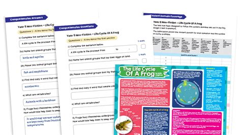 Year 5 Non-fiction Reading Comprehension Worksheets (with Key Stage 2 ...