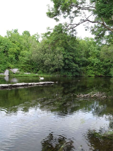 3. Cong River in Cong, Connemara, County Galway, Ireland | County ...