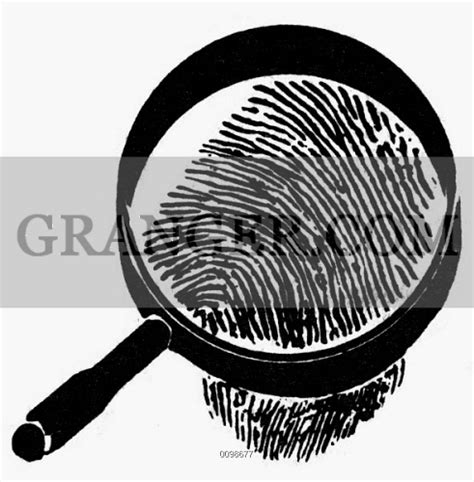 Image of SYMBOL: CRIMINOLOGY. - A Fingerprint And Magnifying Glass ...