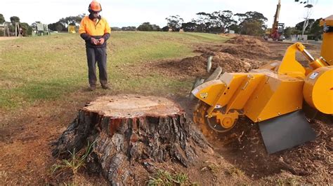 Tree Stump Removal remove a tree stump - YouTube